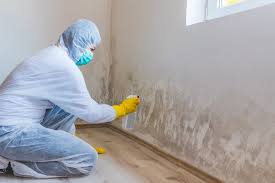 Best Water Damage & Mold Remediation  in Ridgway, PA